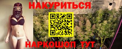 сатива Можайск