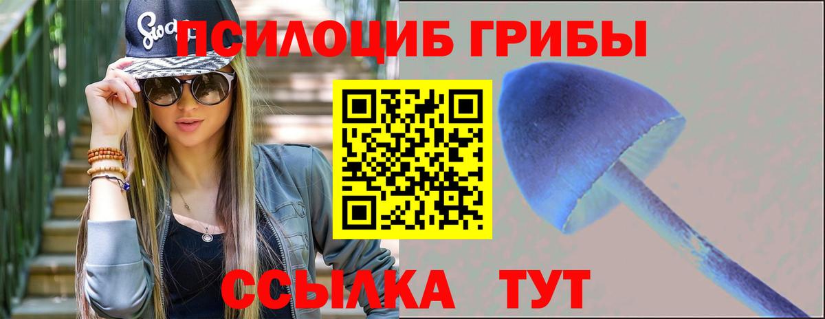 продажа наркотиков  Псилоцибиновые грибы GOLDEN TEACHER  Вход с VPN  Десногорск 